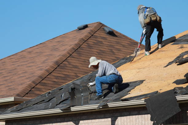 Best Chimney Flashing Repair  in South Point, OH