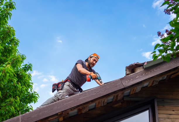 Best Asphalt Shingle Roofing  in South Point, OH