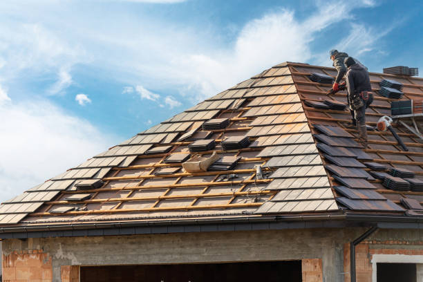 Best Roof Maintenance and Cleaning  in South Point, OH